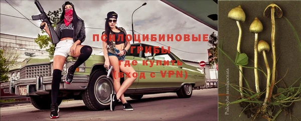 а пвп мука Аркадак
