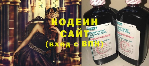 прущие грибы Арсеньев