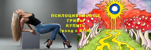 прущие грибы Арсеньев