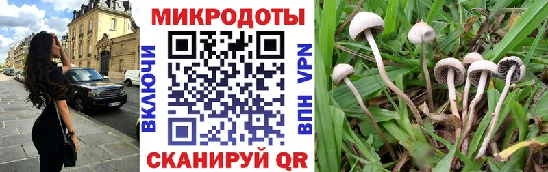 цена   Темников  Галлюциногенные грибы ЛСД 